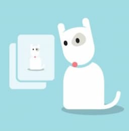 Positive Affirmations: 6 Must-Say Things To Yourself Daily