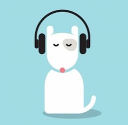 IVF Special Meditation: Hindi