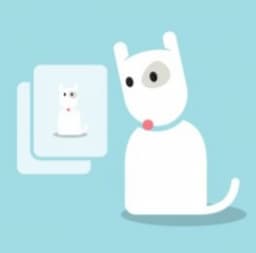 Happiness Toolkit for Dialysis Patients